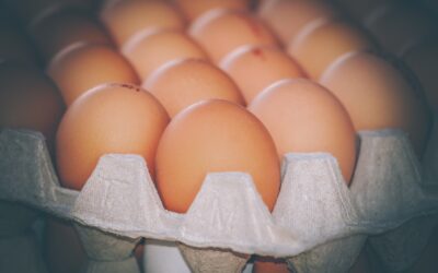 Ce informații importante ne oferă codul ștanțat pe ou și cum îl interpretăm?