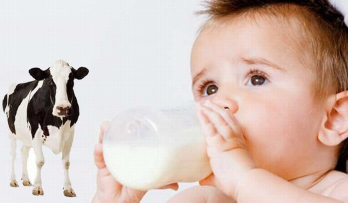 Cum fac trecerea de la formula de lapte praf, la laptele de vacă?